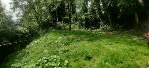 Image show the area of land which was designated for the rewilding project at Fairfield Hospital and is just an area of grass with some mature trees in the background